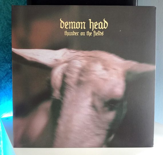 Demon Head – Thunder On The Fields