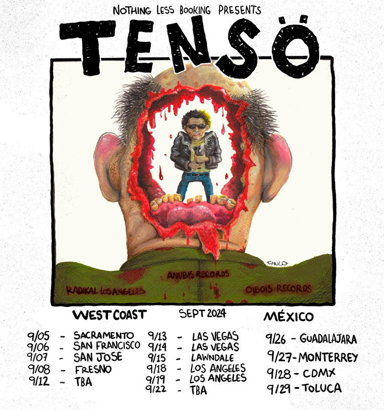 Entrevista a Tensö punk interview Mexico US Tour