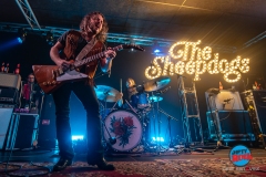 20241111-The-Sheepdogs_DSI3636©DesiEstevez