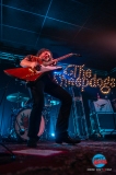 20241111-The-Sheepdogs_DSI3643©DesiEstevez