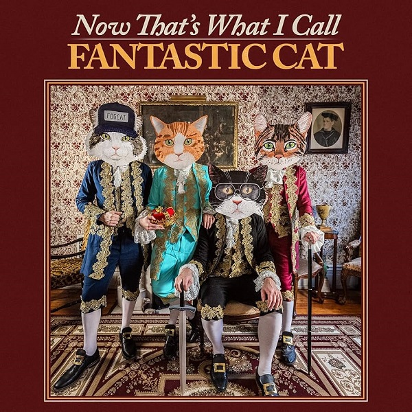 fantasticcat-nowthatswhatIcallfantasticcat